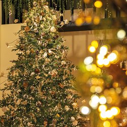 Christmas World