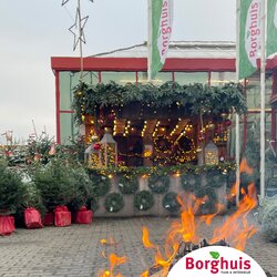 Weihnachtsbeleuchtung